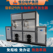 現貨一噸生物質蒸汽發生器 容水29升壓力7公斤免年檢蒸汽鍋爐廠家