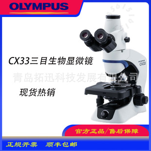 OLYMPUSWְ˹@΢RCX33 ^켚΢ LED؛Դ