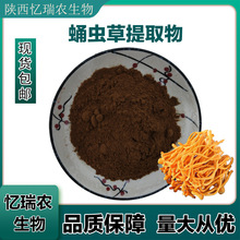 蛹蟲草提取物   高比例 蟲草原料粉 SC資質工廠 現貨 包郵