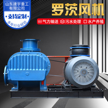 現貨供應羅茨風機 風量大噪音低魚塘養殖增氧機羅茨鼓風機
