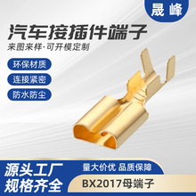 BX2017母端子電動車電瓶車插頭 點煙器插頭 2孔接插件連接器
