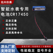 廠家直供智能IC卡專用鋰電池CR17450鋰錳柱可插式接頭耐用