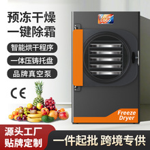 家用商用凍干機寵物食品水果低溫凍干設備實驗室用真空冷凍干燥機