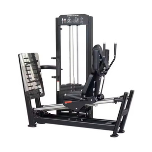 ʽӖȲеSeatedLegPress+Squat