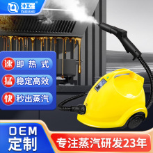 蒸汽清洗機便攜即熱式高溫蒸汽家用油污清潔殺菌消毒 蒸汽清潔機