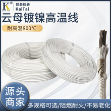 大平方雲母編織繞包高溫線鍍鎳 GN600度16/50平方電磁感應耐火線