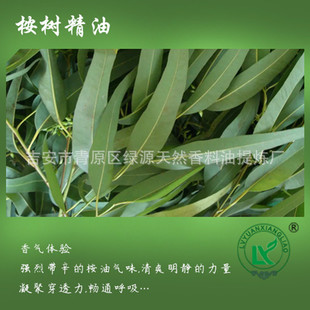 侫Eucalyptus oil~ ȼ{ ~޹Ħ