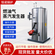 立式燃氣蒸汽發生器