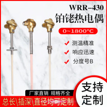 B型熱電偶 WRR鉑銠 貴金屬 高溫 防爆 溫度傳感器 遠傳 原廠