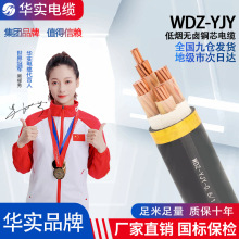 國標電纜WDZ-YJY低煙無鹵阻燃低壓電纜2 3 4 5芯純銅電線廠家現貨