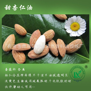  ͱBwASweet Almond Oilֲ