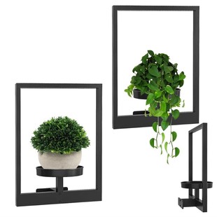 Picture Frame Wall Plant Holder ֲ LҾb