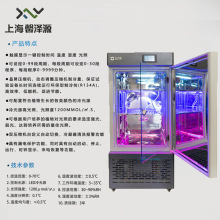 智能光照培養箱 生化培養箱工廠現貨質保三年  霉菌培養箱