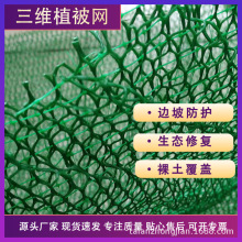 抗沖刷PE三維植被網 邊坡防護生態修復裸土覆蓋植草網格 護坡網