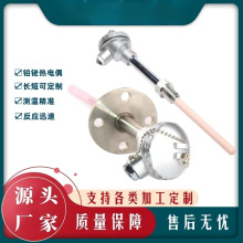 R型熱電偶 WRQ高溫鉑銠耐磨高壓 防爆 鎧裝 裝配溫度傳感器原廠