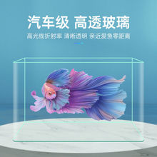 熱彎透明玻璃懶人魚缸客廳陽台家用造景中小型裝飾金魚生態水族箱