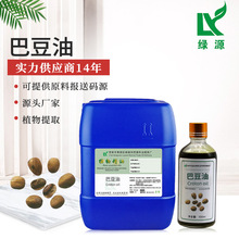 廠家直銷 巴豆油  天然植物提取香料油 巴豆油 冷榨植物提取單方