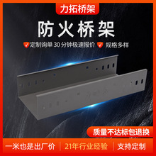 防火橋架大跨距電纜橋架槽式梯式金屬線槽不銹鋼噴塑橋架噴塑橋架