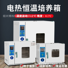 升級款立式數顯電熱恆溫培養箱實驗室細菌霉菌微生物種子發芽箱恆