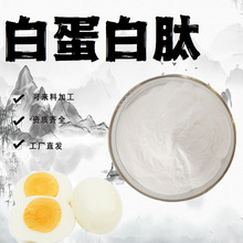 白蛋白肽98%卵清提取物食品級原料小分子活性蛋白肽水溶性現貨