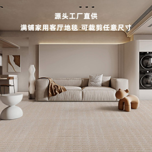 源頭工廠客廳地毯卧室耐臟易打理家用床邊毯大面積全鋪地墊定制