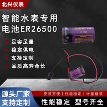 廠家直供智能水表專用電池現貨 ER26500 功率型3.6V可插式