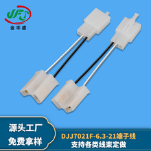 DJJ7021F-6.3-21 6.3系列2孔端子線 車用連接器汽摩電動車連接線