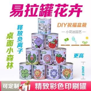 兒童易拉罐植物盆栽室內桌面擺件迷你花卉綠植種植罐頭小盆栽批發