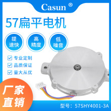 工廠現貨57扁平電機超薄厚度步進電機飛達貼片機用直流帶齒輪電機
