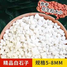 鵝卵石天然雨花石小白石子多肉鋪面盆栽花盆庭院造景裝飾白色石頭