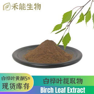 ט~ȡ~Sͪ5% Birch leaf ExtractˮܼЙC