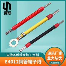 E4012管型裸端頭線材 RV4平方電線線纜 電氣連接線 電氣設備線束