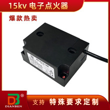 定制DB牌高品質15KV點火器高壓包 燃燒器配件