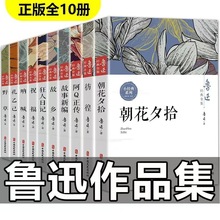 魯迅全集正版原著完整版經典雜文作品集朝花夕拾狂人日記書10冊
