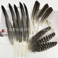 diy飾品配件羽毛裝飾頭飾胸花帽子鞋子手工工藝品裝飾幼兒早教