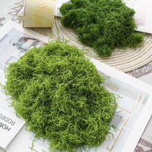 仿真苔蘚草皮人造假青苔仿生微景觀布置綠植草坪盆栽櫥窗裝飾造景