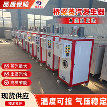 48KW全自動電熱燃油蒸汽發生器橋梁蒸汽養護器鍋爐橋梁蒸汽養護機