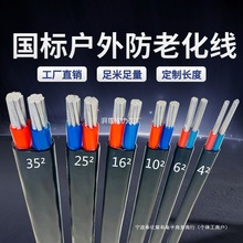 國標2芯3芯電纜線鋁芯家用戶外電線2.5 4 6 10 16 25平方鋁線護套