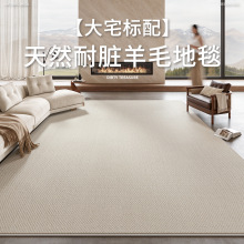 新西蘭羊毛地毯客廳極簡素色輕奢高級卧室沙發家用床邊耐臟易打理