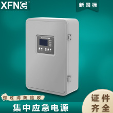 A型300W集中電源鋰電應急照明集中電源 EPS集中電源高防護等級
