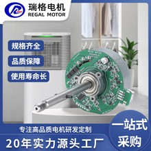 小型無刷直流電機馬達空氣凈化器電機風扇落地扇純銅電機支持打樣