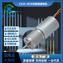 廠供25-2838無刷12V24V內置驅動霍爾低噪音微型直流減速電機馬達
