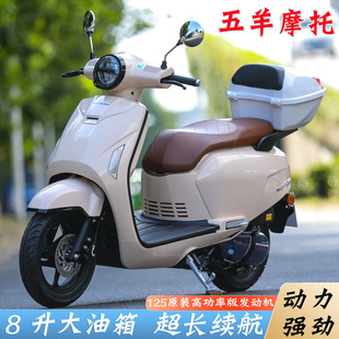 五羊摩托車燃油車踏板車125C電噴可上牌省油全新款正品原裝男女款