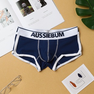 ԸЃѝAUSSIEBUM U͹ʿĽǃѝ WԺL ѝ