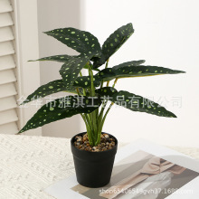 仿真假花草綠植長海棠客廳裝飾綠植物落地假花盆栽擺設舞擺件批發