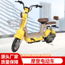 新國標摩登電動車 成人代步電瓶車可上牌兩輪電動自行車廠家