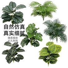 仿真植物背景牆草坪插花單支綠植塑料葉子餐廳客廳裝飾蕨類假花草