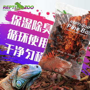 Reptizoo|ɭֵرƤ ،mx쾰b|