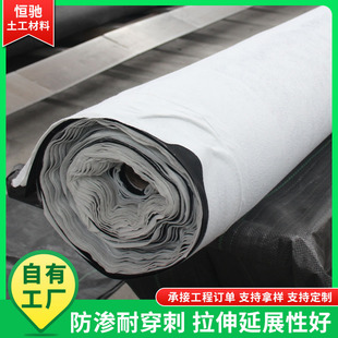 復合土工膜垃圾場河道HDPE防滲水利兩布一膜人工湖底復合土工膜