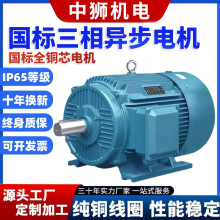 國標三相異步電動機YE全系列220V/380V全銅電機立式卧式機械